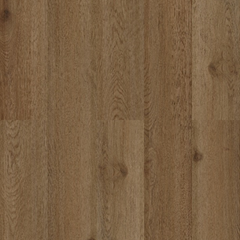 Collection image for: Nuestros productos